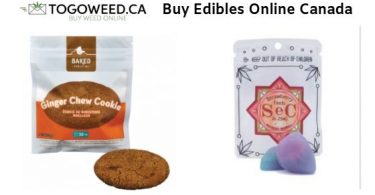 Reasons Why People Buy Edibles Online Canada As a New Level of Medicine